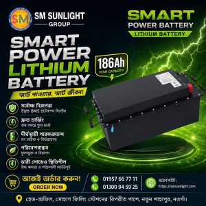 Smart Power Lithium Battery